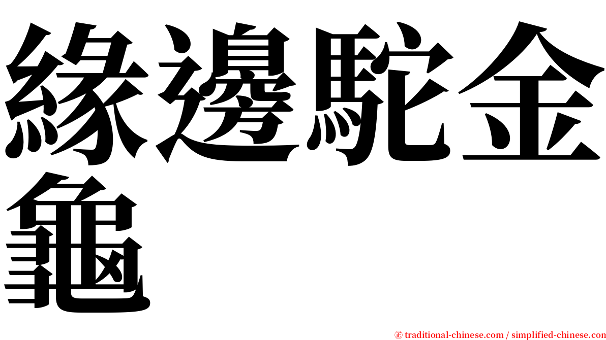 緣邊駝金龜 serif font