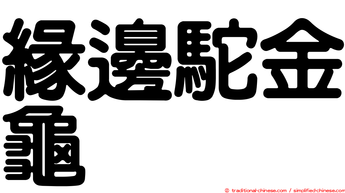 緣邊駝金龜