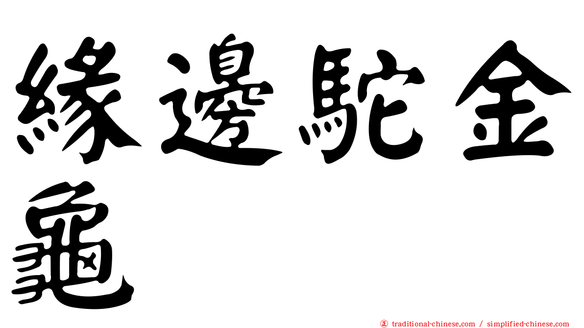 緣邊駝金龜