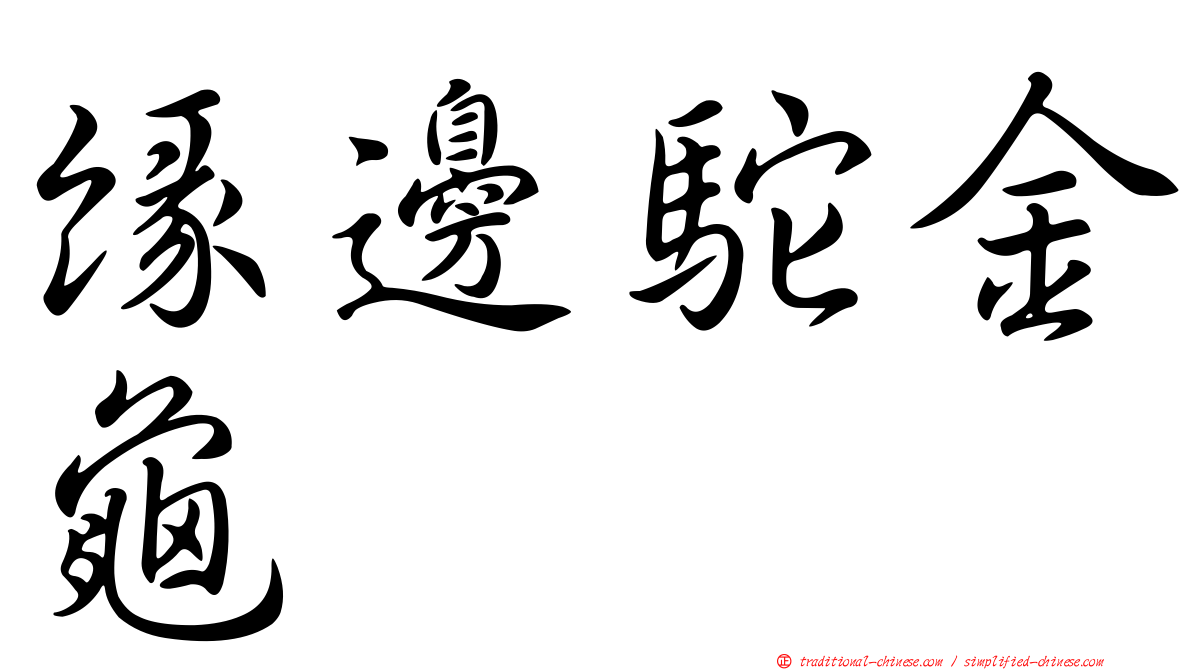 緣邊駝金龜