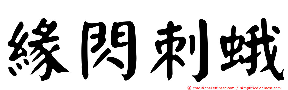 緣閃刺蛾