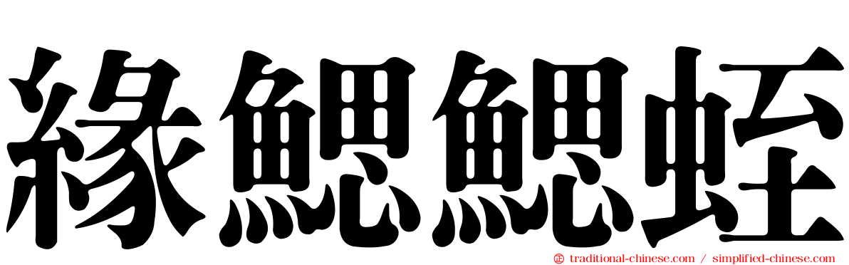 緣鰓鰓蛭