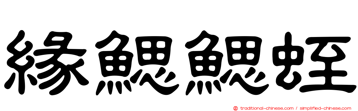緣鰓鰓蛭