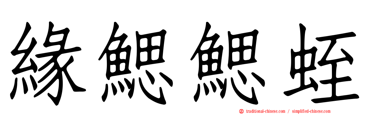 緣鰓鰓蛭