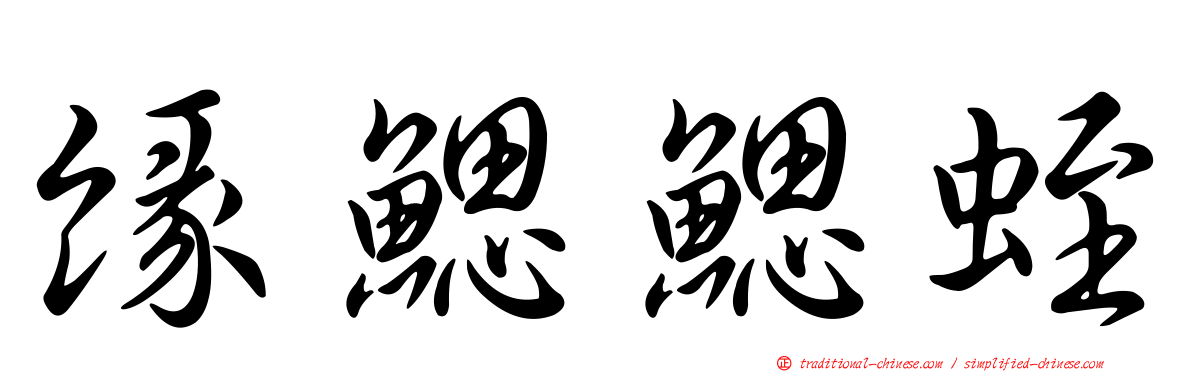 緣鰓鰓蛭