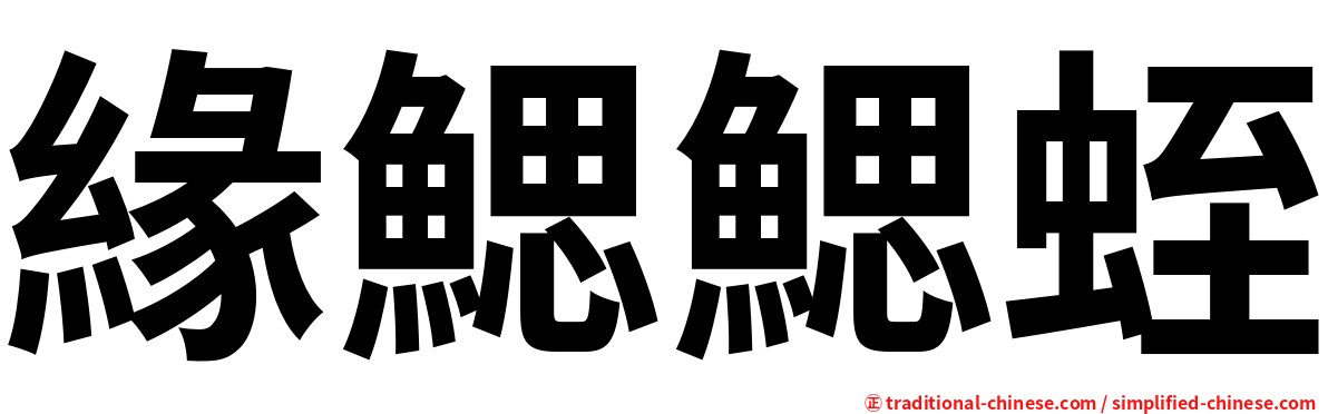 緣鰓鰓蛭