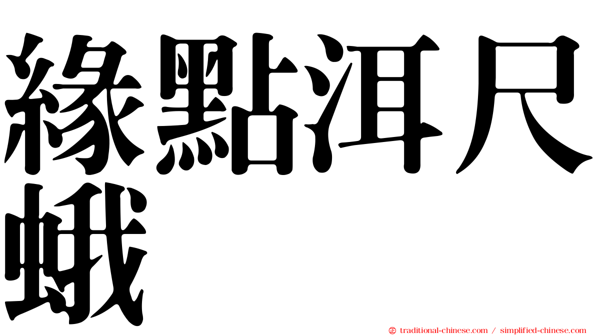 緣點洱尺蛾