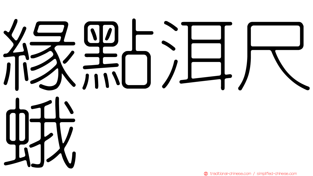 緣點洱尺蛾