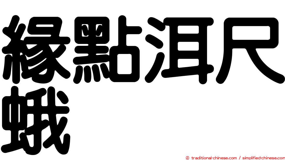 緣點洱尺蛾