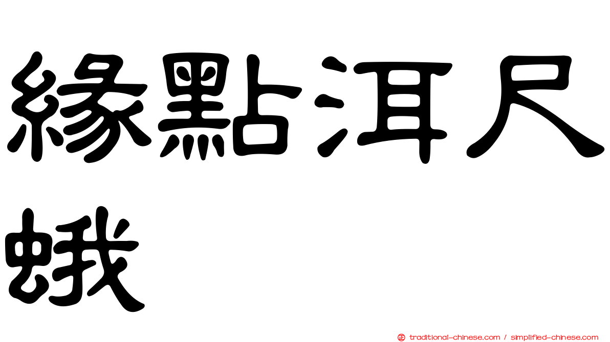緣點洱尺蛾