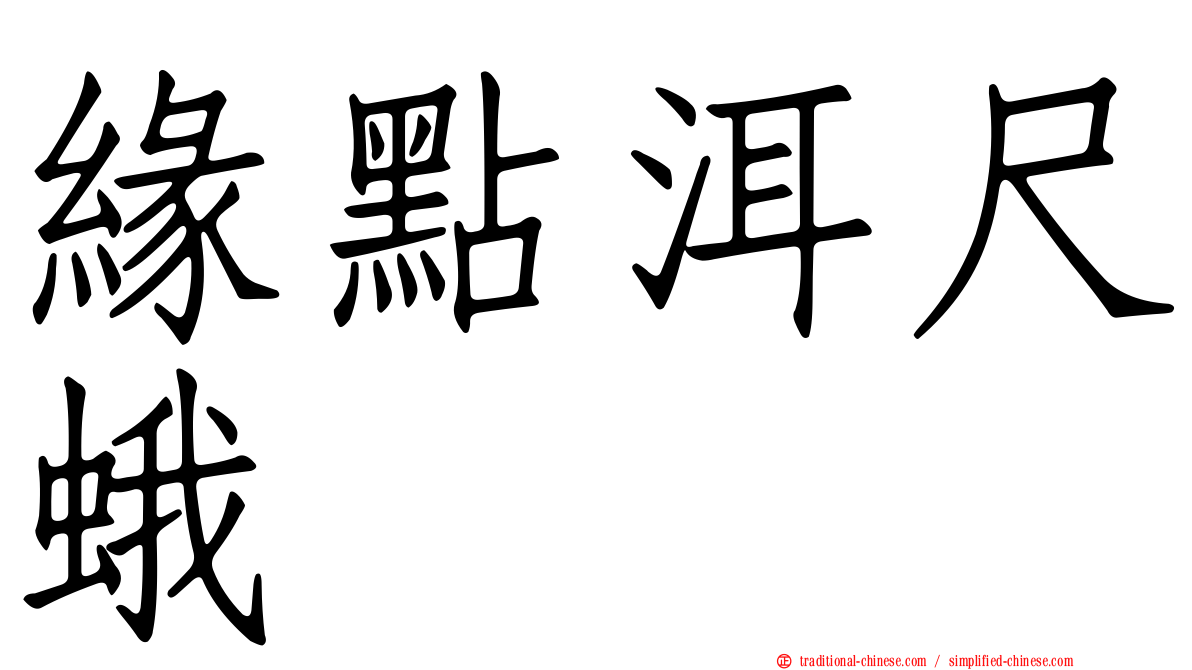 緣點洱尺蛾