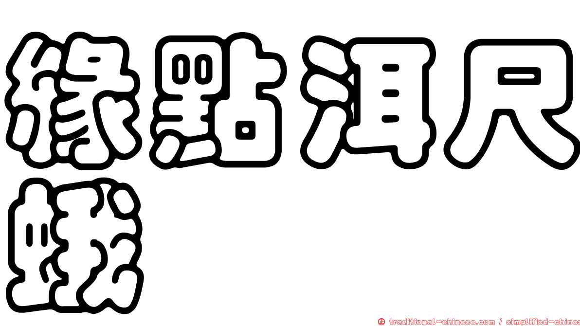 緣點洱尺蛾