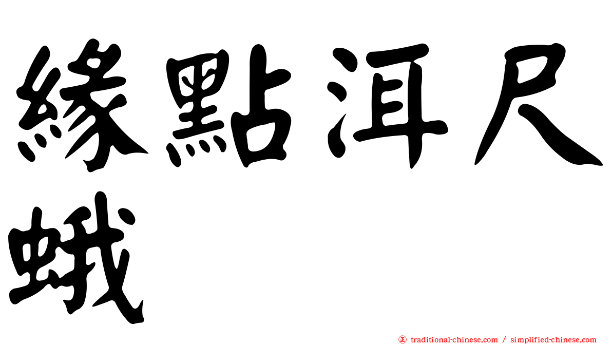 緣點洱尺蛾
