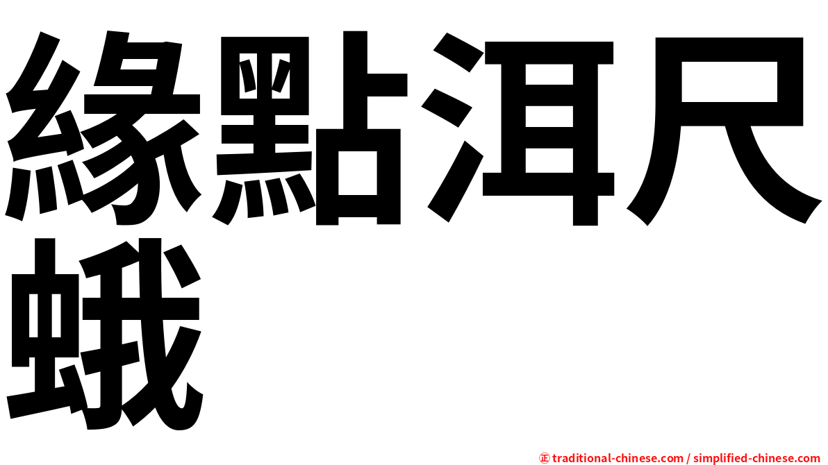 緣點洱尺蛾
