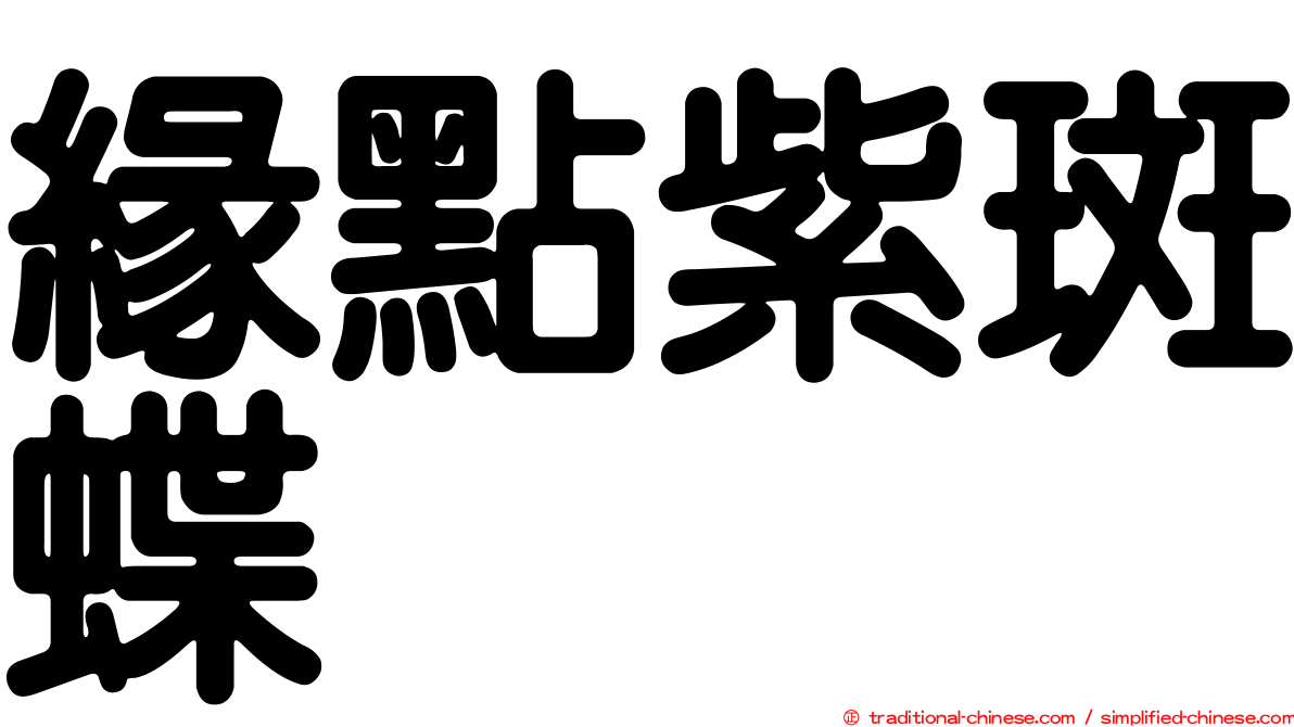 緣點紫斑蝶