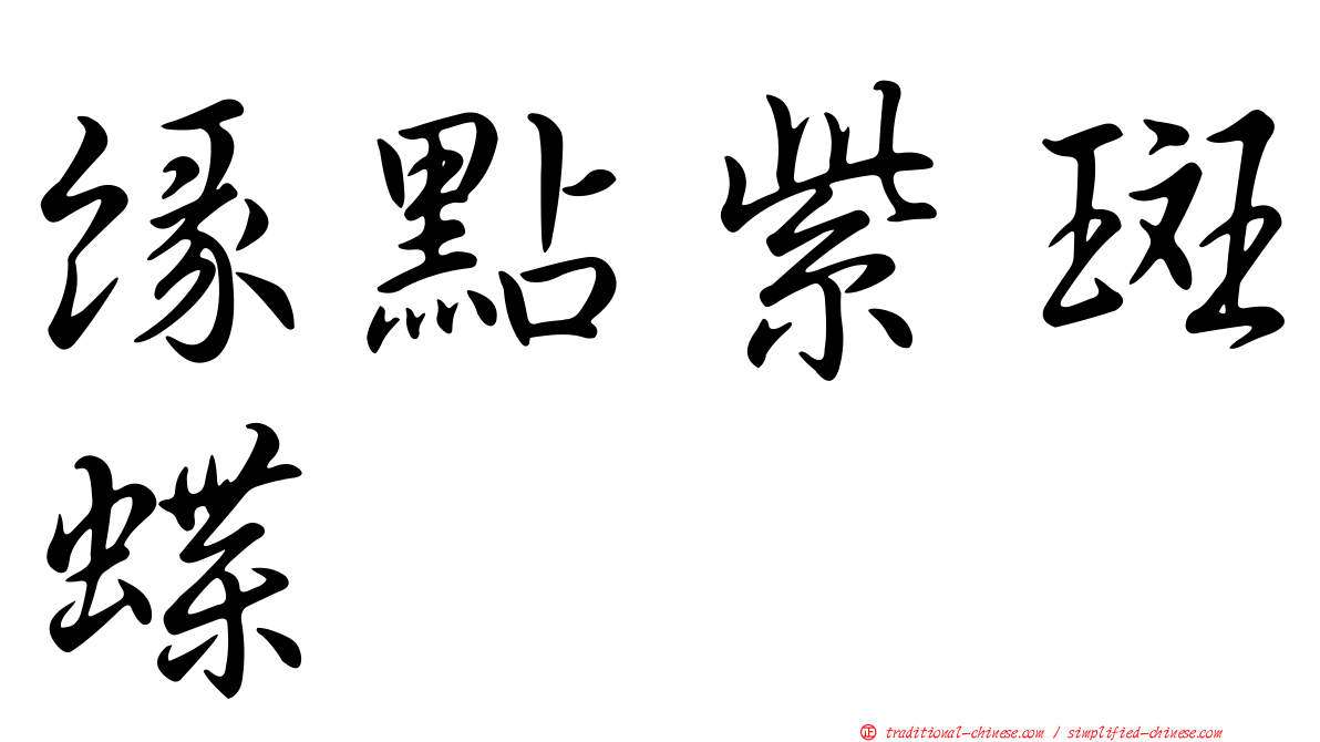 緣點紫斑蝶