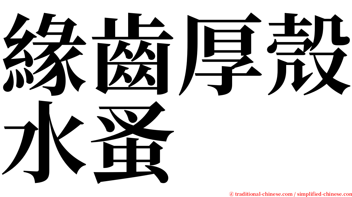 緣齒厚殼水蚤 serif font