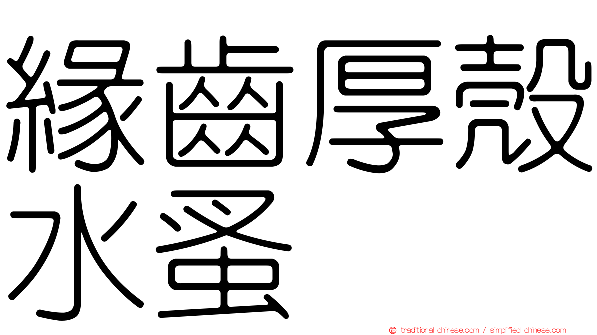 緣齒厚殼水蚤