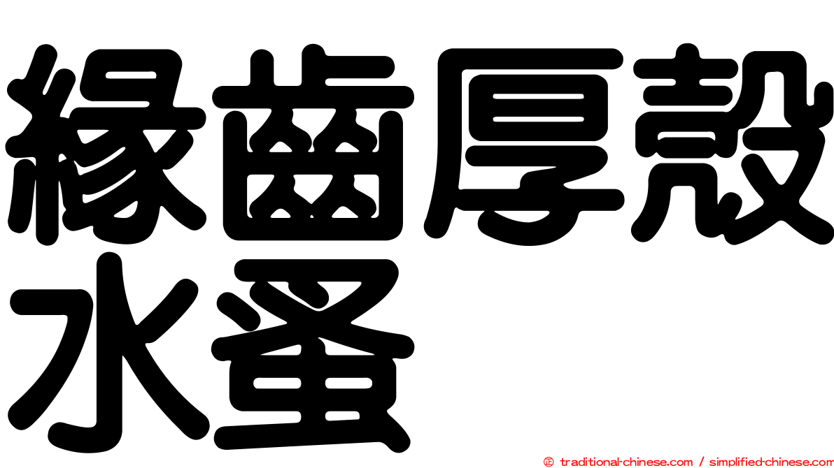 緣齒厚殼水蚤