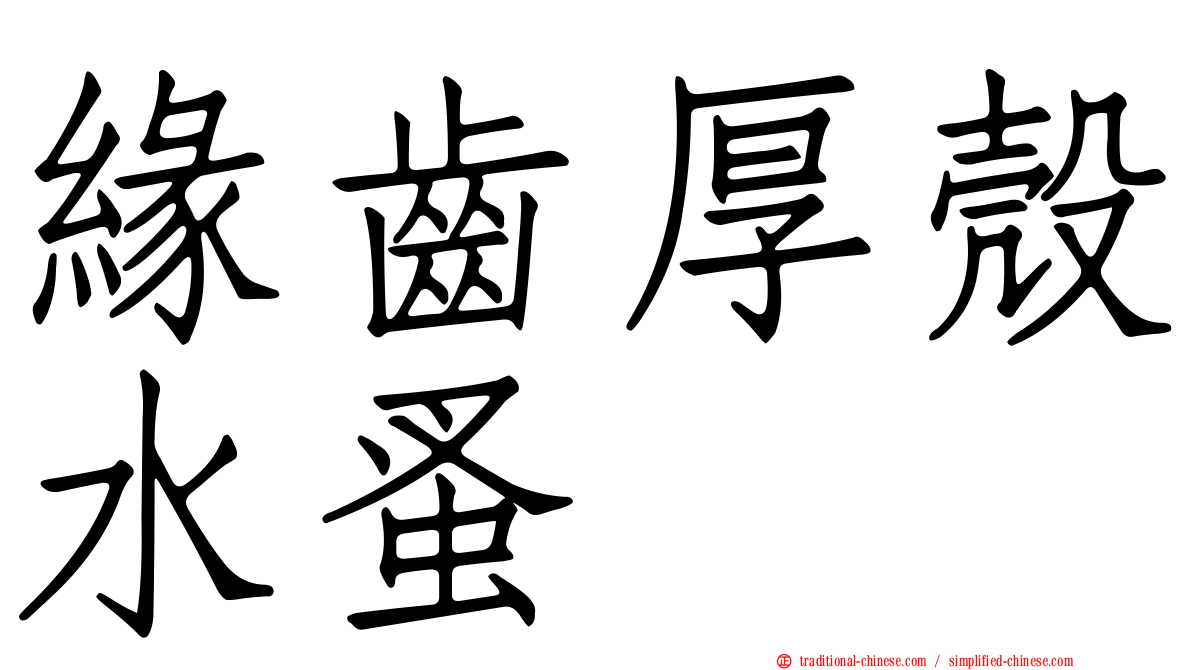 緣齒厚殼水蚤
