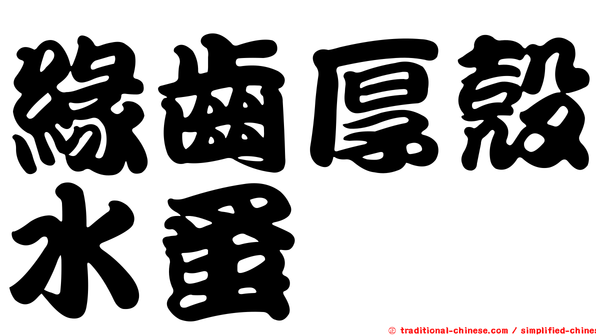 緣齒厚殼水蚤