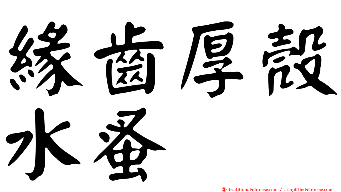 緣齒厚殼水蚤