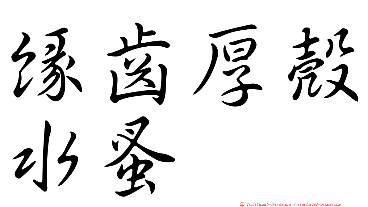 緣齒厚殼水蚤