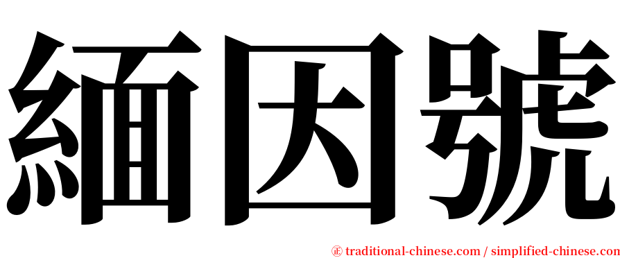 緬因號 serif font