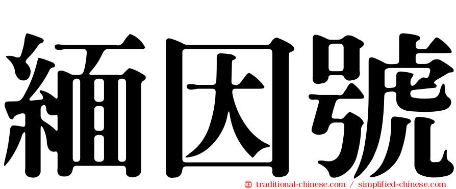 緬因號