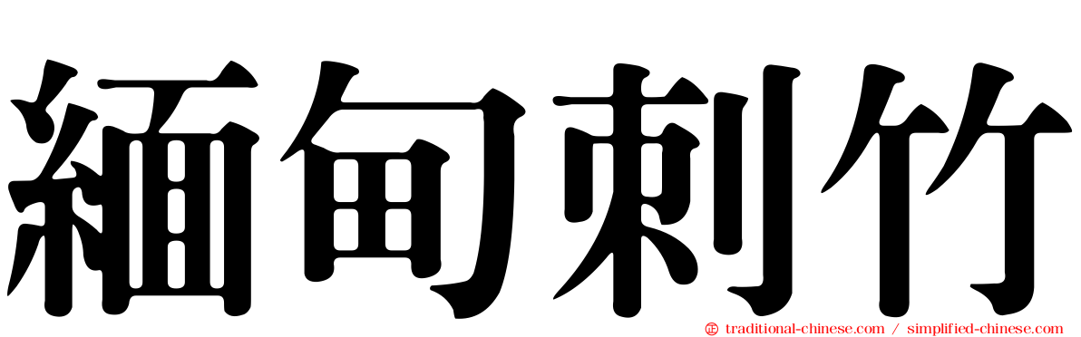 緬甸刺竹