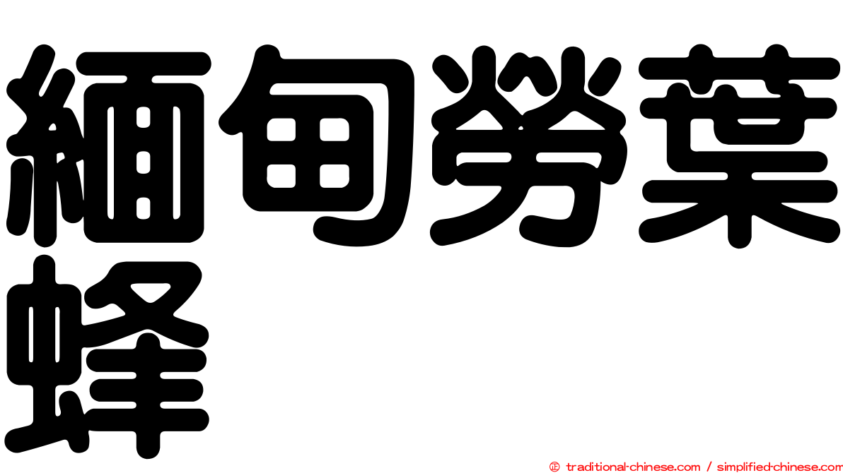 緬甸勞葉蜂