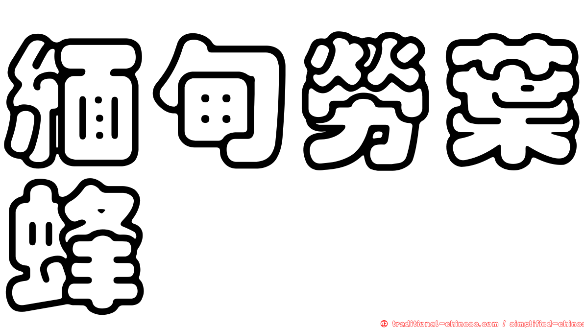 緬甸勞葉蜂
