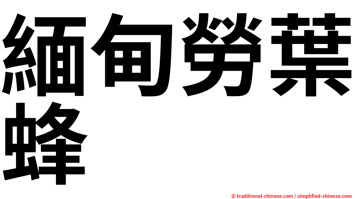 緬甸勞葉蜂