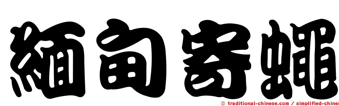 緬甸寄蠅