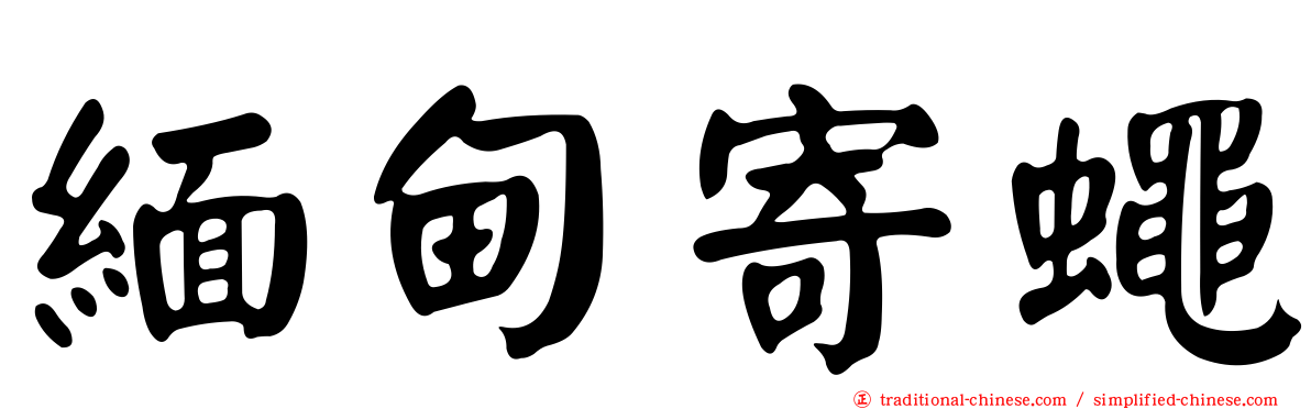 緬甸寄蠅