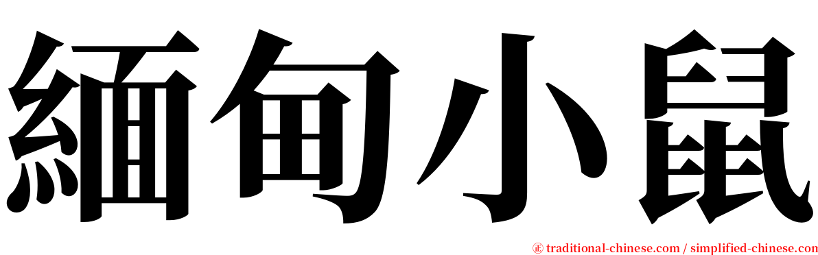 緬甸小鼠 serif font