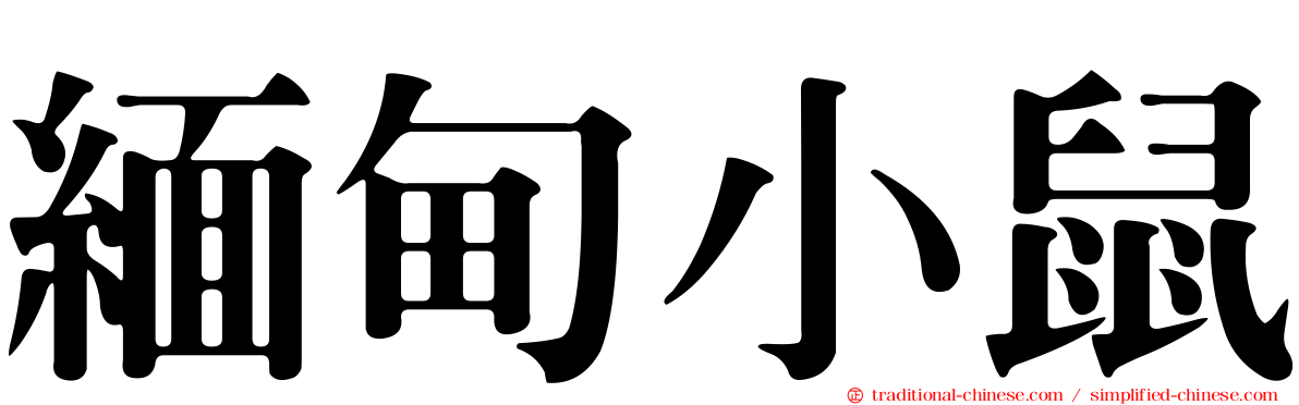 緬甸小鼠