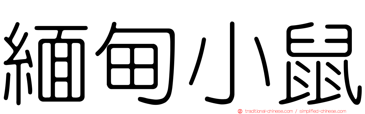 緬甸小鼠