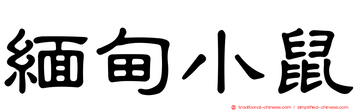 緬甸小鼠