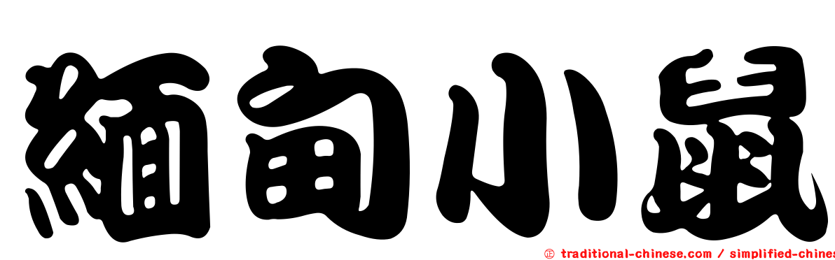緬甸小鼠