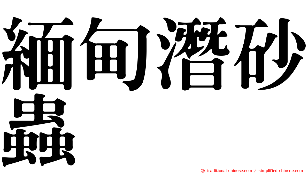緬甸潛砂蟲
