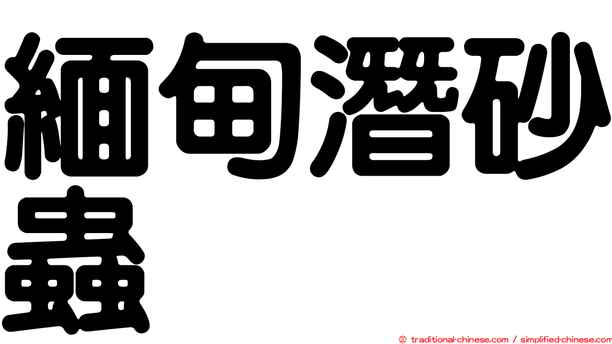 緬甸潛砂蟲