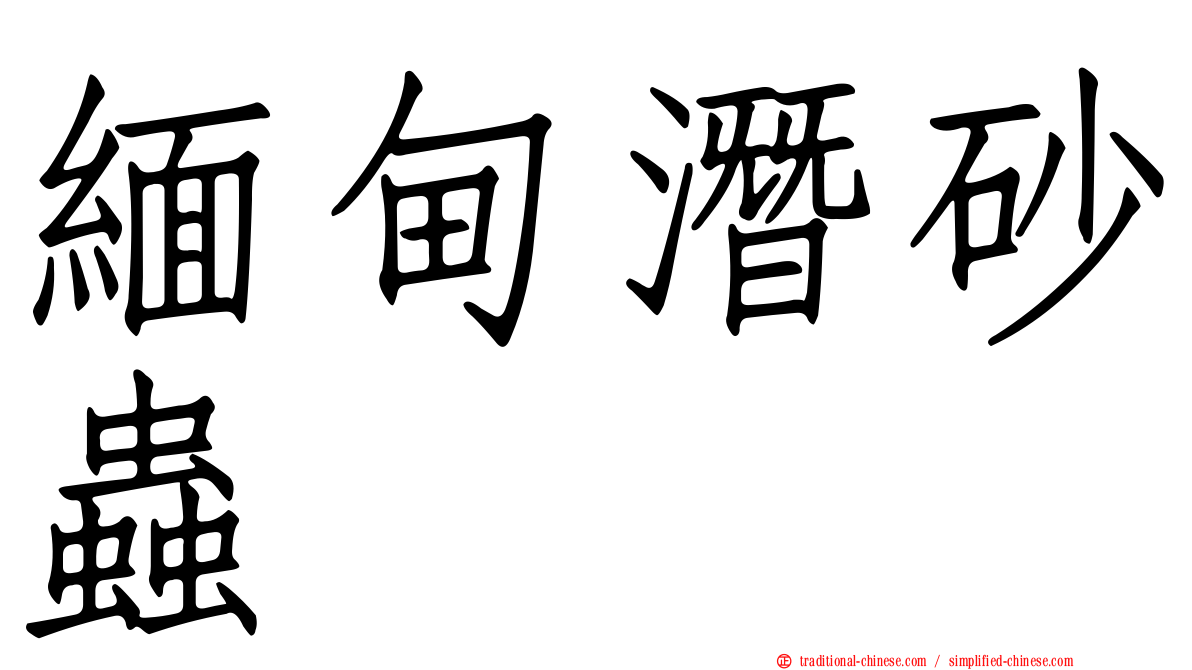 緬甸潛砂蟲