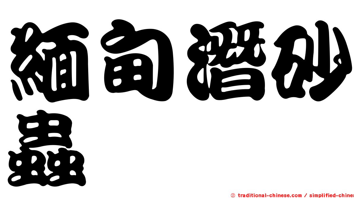 緬甸潛砂蟲