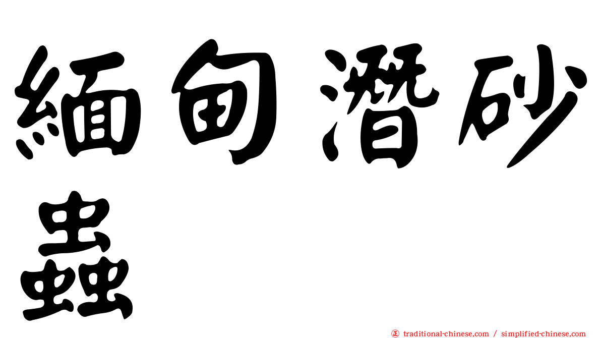 緬甸潛砂蟲