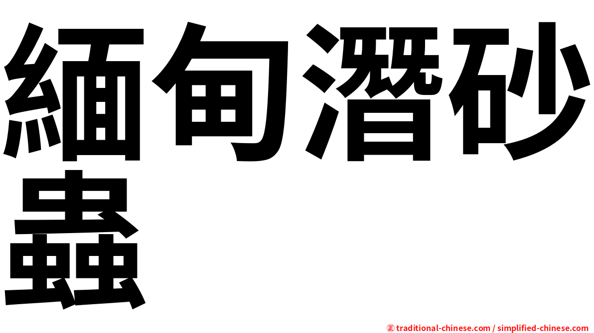 緬甸潛砂蟲