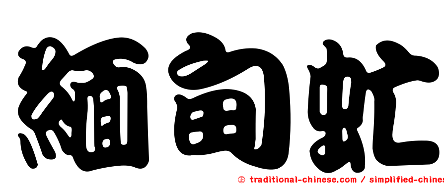 緬甸虻