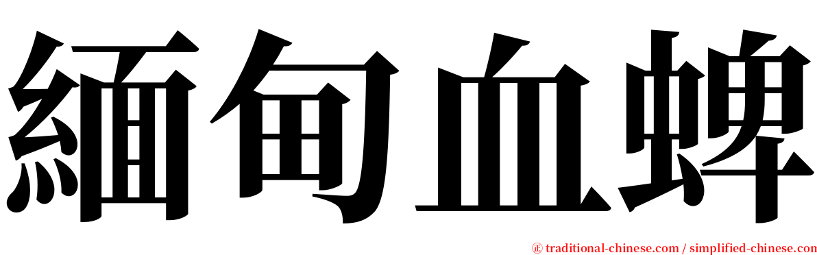 緬甸血蜱 serif font