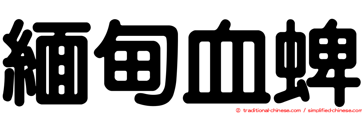 緬甸血蜱