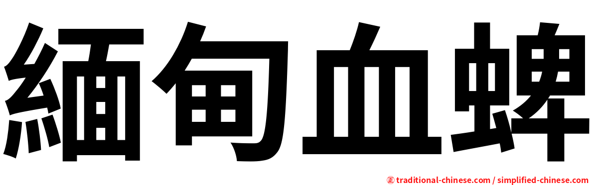 緬甸血蜱